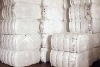 100% Organic White Tajikistan Raw Cotton