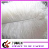 2012 Hot saled White Ostrich Feather for decoration