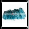 50pcs Home Decor Aqua Blue Chicken Feather