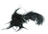Black Feather Headdress