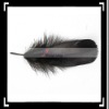 Cheap!! 50pcs Home Decor Black Duck Feather