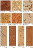 Colorful Choice Axminster Floor Carpet For Hotel/Restaurant/Cinema/Cateen