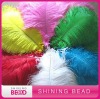 Colorful Ostrich Feather