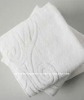 Embroidered Cotton Terry Towel
