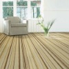 Environmentally Friendly Carpet