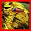 FREE SHIPPING FEDEX/DHL FACTORY OUTLETS 10-12CM QUALITY PRODUCTS wholesale grizzly feathers