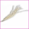 Fashion wholesale colored ostrich feathers