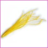 Fashion wholesale colored ostrich feathers