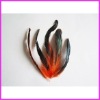 Fashion wholesale grizzly rooster feathers