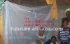 Insecticide treated mosquito net against malaria and other diseases