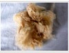 Manufacturers offer high tenacity and camel Polyester staple Fiber size in 2.5D*51/65MM