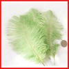 Mint Green Ostrich Feather Drab
