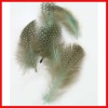 Mint Green Spotted Guinea Hen Feather