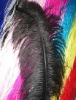 Ostrich feather, natural ostrich feather, wedding decoration feather