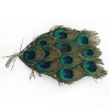 Peacock Feather Headdress