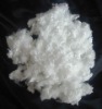 Polyester staple fiber (PSF)