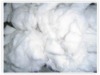 Processed cotton