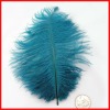 TEAL Jewel Tone Ostrich Feather Drab