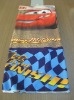 Terry Beach Towel with Border