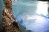 UNICEF WHO LLINS insecticide treated mosquito nets against Malaria
