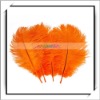 Wholesale! 10pcs Orange Party Decorative Ostrich Feathers