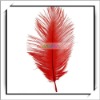Wholesale! 10pcs Red Wedding Ostrich Feather Decorations