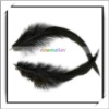 Wholesale! 50pcs Genuine Black Chicken Feathers