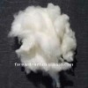 cashmere fiber white pashmina fiber