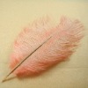cheap ostrich feathers