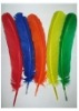 colored roster feathers,,feather extensions, grizzly rooster feathers, hair feathers wholesale