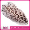 colorful design decoration ostrich feather