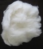 dehaired cashmere fibres