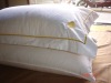 embroidered pillowcase & pillow