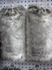 lady Fur lag warmers