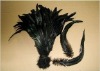 long saddle hackle feathers, roster feathers,