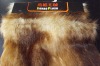 mixed fiber long  fur--FS100043