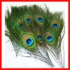 peacock feather decoration