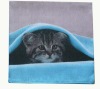 photo printing 100% polyester cushion cover