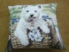 picture cushion