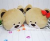 plush toy hold pillow