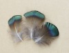 rooster feather, grizzly rooster feathers,