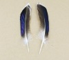 roster feathers, feather extensions, grizzly rooster feathers, hair feathers wholesale