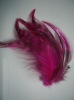 roster feathers, grizzly rooster feathers, hair feathers wholesale