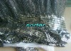 sequin cloth for decorative effect