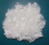 solid polyester fibre