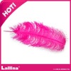 top-sell ostrich feathers