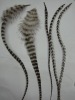 undyed long tiny Chicken feather extensions for hair extensions(BD-11082503)