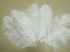 white Ostrich feathers, wedding feather, feather extension, decroation feathers