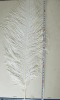 white Ostrich feathers, wedding feather, feather extension, decroation feathers