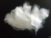 white fine pashmina wool